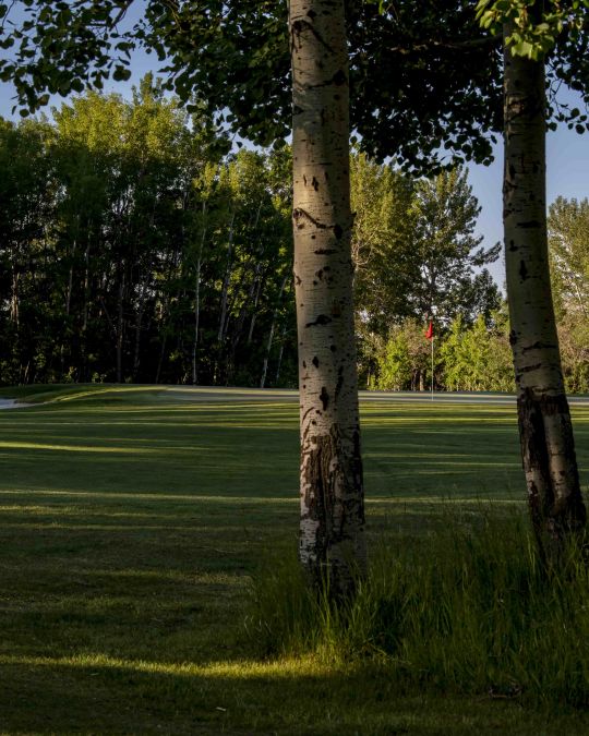 Dancing Bull 18 Holes