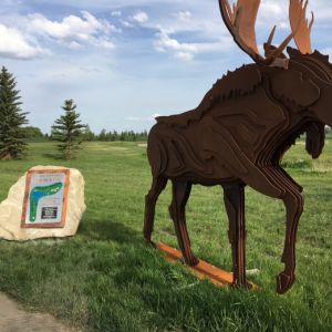 Members, PGC Flex Pass, & PGC Access Cards